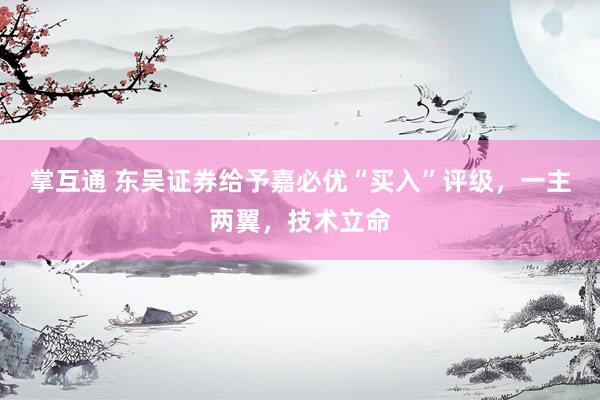 掌互通 东吴证券给予嘉必优“买入”评级，一主两翼，技术立命