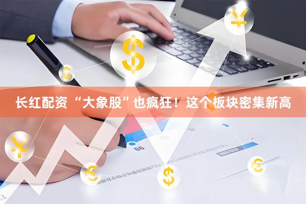长红配资 “大象股”也疯狂！这个板块密集新高