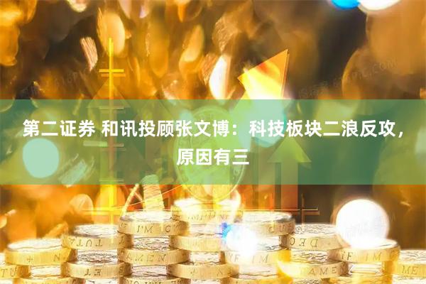 第二证券 和讯投顾张文博：科技板块二浪反攻，原因有三